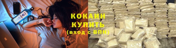 ПСИЛОЦИБИНОВЫЕ ГРИБЫ Новозыбков