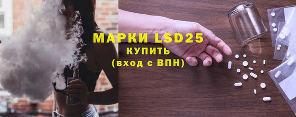 ПСИЛОЦИБИНОВЫЕ ГРИБЫ Новозыбков