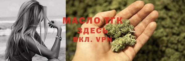 сатива Новодвинск