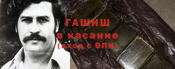 сатива Новодвинск