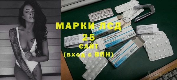 ПСИЛОЦИБИНОВЫЕ ГРИБЫ Новозыбков