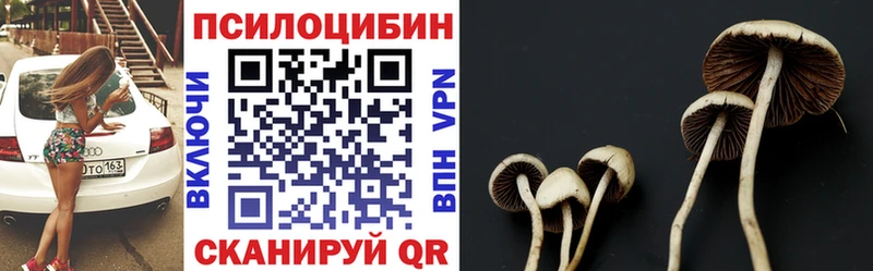 даркнет сайт  Починок  Галлюциногенные грибы мицелий 